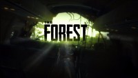 the forest